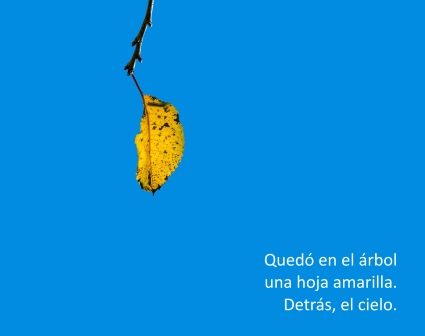 Quedó en el árbol / una hoja amarilla. / Detrás, el cielo. Quedó en el árbol / una hoja amarilla. / Detrás, el cielo.